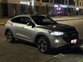 2023 Haval F7x I Рестайлинг, серый, 2550000 рублей