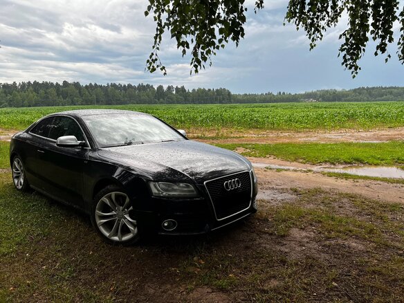 2009 Audi S5 I (8T), чёрный, 1499999 рублей - вид 1