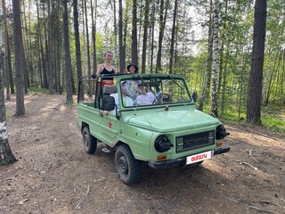 1993 ЛуАЗ 969М, зелёный, 250000 рублей, вид 3
