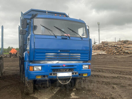 2019 КамАЗ 6522, синий, 1790000 рублей, вид 1