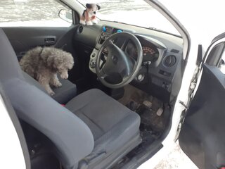 2012 Daihatsu Mira VII, белый, 420000 рублей, вид 5