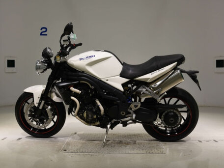 2008 Triumph Speed Triple, белый, 385000 рублей, вид 3