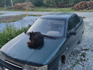 2004 Lada (ВАЗ) 2110, зелёный, 35000 рублей, вид 1