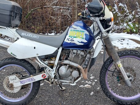 1996 Suzuki Djebel 250, белый, 230000 рублей, вид 1