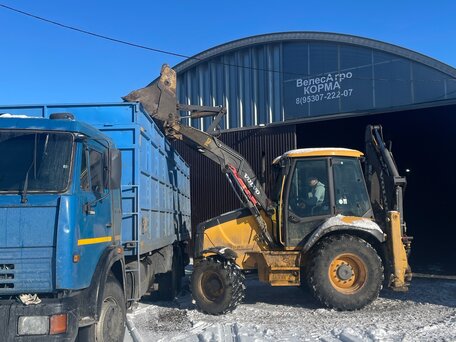 2004 КамАЗ 65117, синий, 1400000 рублей, вид 3
