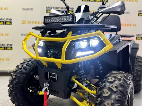 2026 Bison ATV 250F, серый - вид 8