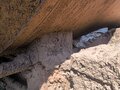 2024 FoxTank Полуприцеп-контейнеровозы, серебристый, 3845000 рублей - вид 11