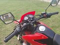 2023 Racer Panther, красный, 115000 рублей - вид 3