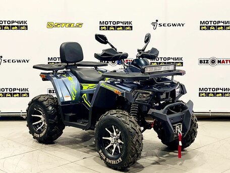 2026 Motoland Wild Track 200 X Pro, серый, 219000 рублей, вид 5