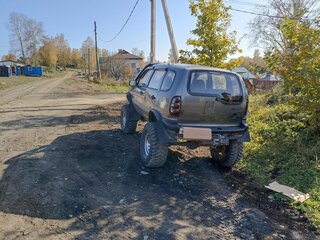 2004 Chevrolet Niva I, серый, 680000 рублей, вид 4