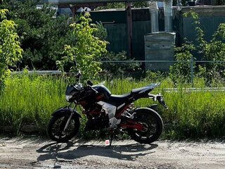 2022 Regulmoto Raptor 250, чёрный, 140000 рублей, вид 3