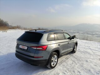2020 Skoda Kodiaq I, серый, 2250000 рублей, вид 4