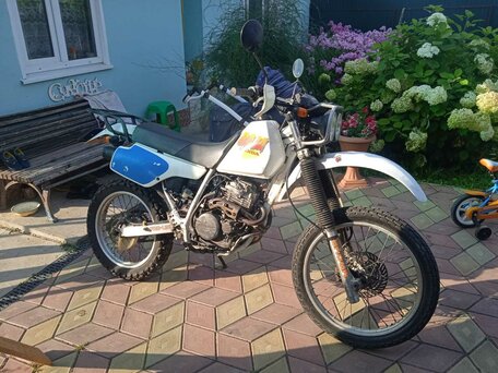 1995 Honda XLR, белый, 285000 рублей, вид 2