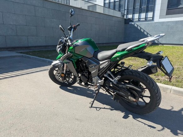 2022 Regulmoto T-Leopard 300, зелёный, 185000 рублей - вид 3