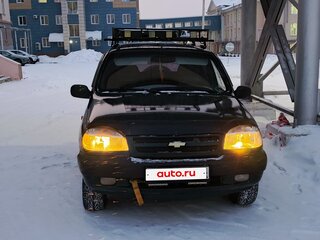 2004 Chevrolet Niva I, зелёный, 520000 рублей, вид 3