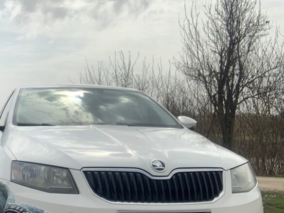 2014 Skoda Octavia III (A7), белый, 800000 рублей - вид 2
