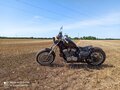 1995 Honda Steed 600, чёрный, 400000 рублей