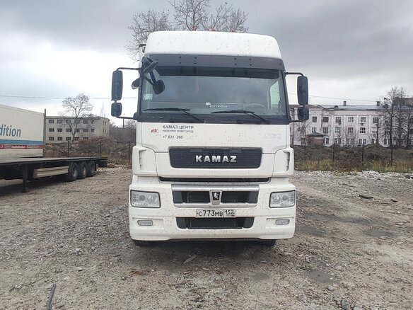 2019 КамАЗ 5490, белый, 3600000 рублей