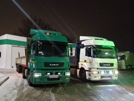 2016 КамАЗ 5490 NEO, зелёный, 2300000 рублей, вид 4