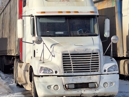 2003 Freightliner Century Class, белый, 1350000 рублей, вид 1