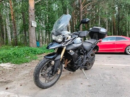 2011 Triumph Tiger 800, чёрный, 560000 рублей, вид 1