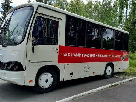 2011 ПАЗ 3204, белый, 459000 рублей, вид 2