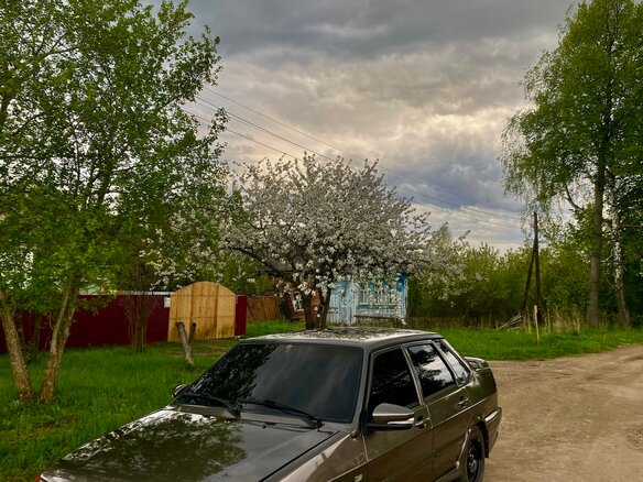 2005 Lada (ВАЗ) 2115, коричневый, 230000 рублей