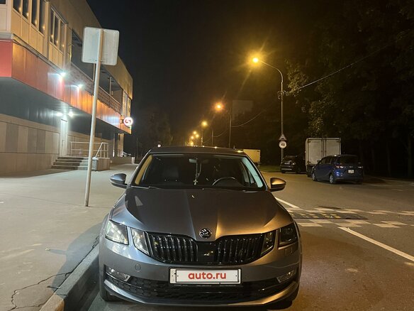 2017 Skoda Octavia III (A7) Рестайлинг, серый, 1900000 рублей - вид 12