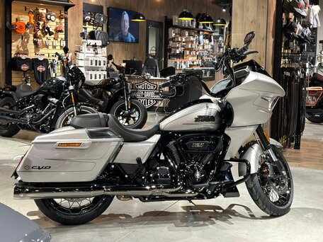 2023 Harley-Davidson CVO Road Glide, серебристый, 4900000 рублей, вид 5