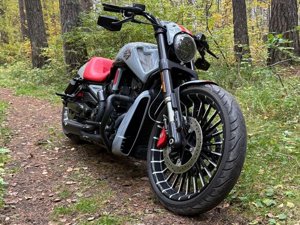 2014 Harley-Davidson Night Rod, серый, 2250000 рублей