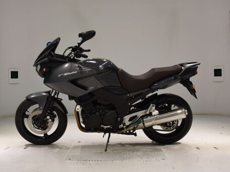 2010 Yamaha TDM900, серый, 600000 рублей, вид 3