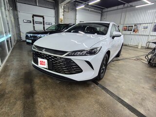 2025 BYD Qin Plus DM-i I, белый, 2350000 рублей, вид 3
