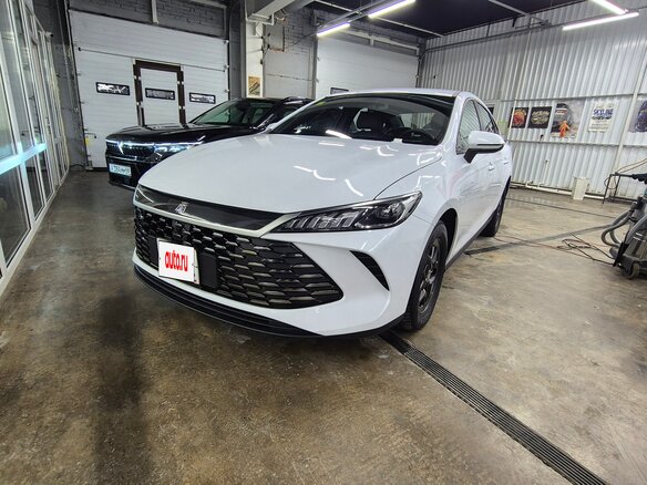 2025 BYD Qin Plus DM-i I, белый, 2350000 рублей - вид 2