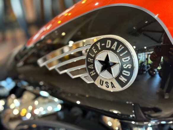 2025 Harley-Davidson Fat Boy, красный, 3950000 рублей - вид 25