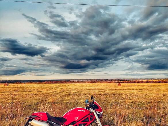 2005 Ducati Monster S2R, красный - вид 2