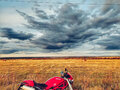 2005 Ducati Monster S2R, красный - вид 2