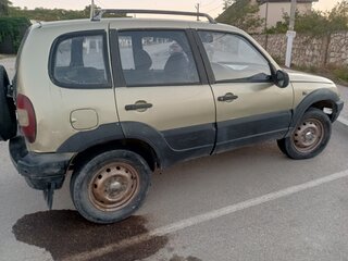 2002 Chevrolet Niva I, серебристый, 230000 рублей, вид 3