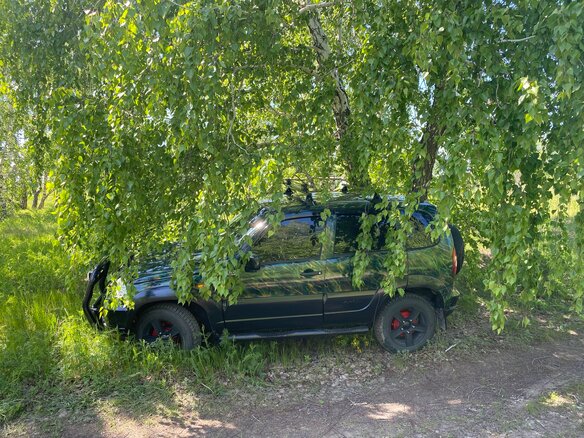 2013 Chevrolet Niva I Рестайлинг, серебристый - вид 18