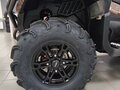 2026 Loncin XWolf 1000L Muddy, коричневый, 1399000 рублей - вид 1