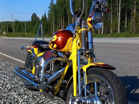 2008 Harley-Davidson Springer Softail, жёлтый, 1300000 рублей, вид 1