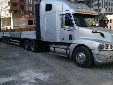 1999 Freightliner Century Class, серебристый, 4500000 рублей, вид 2