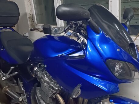 2001 Suzuki Bandit GSF 600, синий, 320000 рублей, вид 2