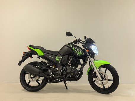 2025 Motoland Bandit 300, зелёный, 159950 рублей, вид 5