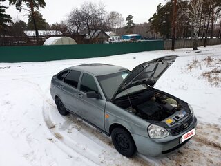 2010 Lada (ВАЗ) Priora I, серый, 248000 рублей, вид 1