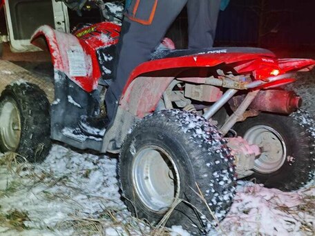 2005 Polaris Phoenix 200, красный, 250000 рублей, вид 3