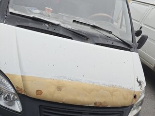 2003 ГАЗ ГАЗель (3302), белый, 300000 рублей, вид 3