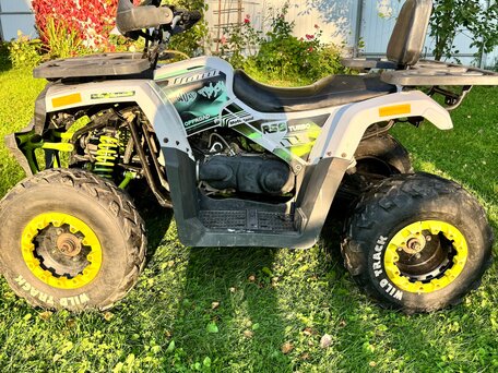 2019 Motoland Wild Track 200, белый, 140000 рублей, вид 2