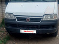 2010 Fiat Professional Ducato, белый, 650000 рублей