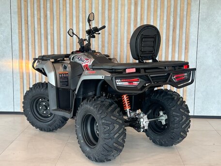 2026 Loncin XWolf 300 Max, серый, 485000 рублей, вид 3