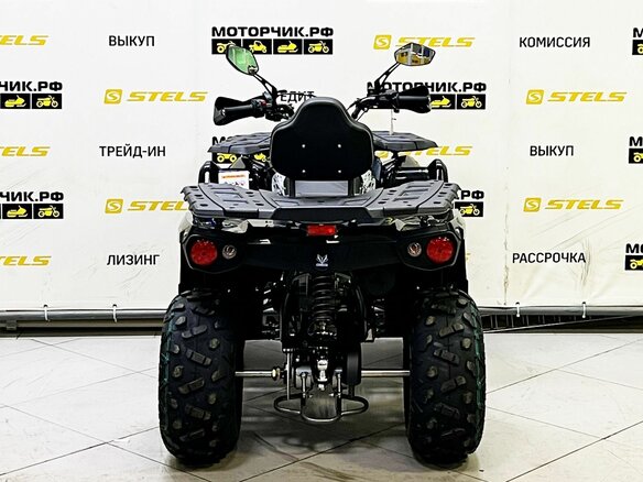 2025 Bison ATV200, чёрный - вид 6